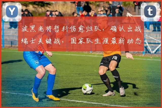 波黑老将哲科伤愈归队，确认出战瑞士关键战，国家队生涯最新动态解读