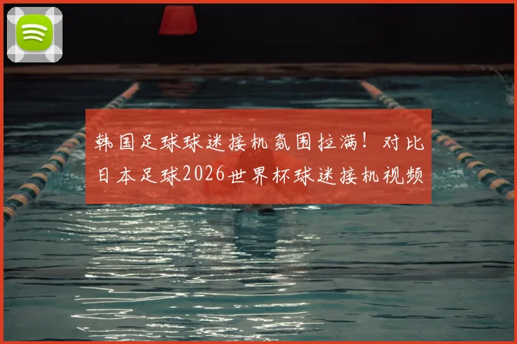 韩国足球球迷接机氛围拉满！对比日本足球2026世界杯球迷接机视频，文化差异太明显