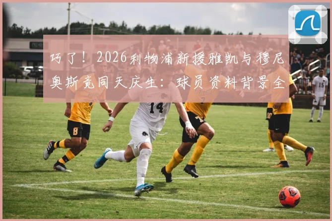 巧了！2026利物浦新援雅凯与穆尼奥斯竟同天庆生：球员资料背景全解析